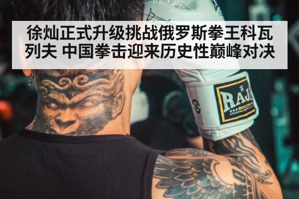 徐灿正式升级挑战俄罗斯拳王科瓦列夫 中国拳击迎来历史性巅峰对决