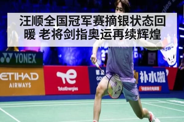汪顺全国冠军赛摘银状态回暖 老将剑指奥运再续辉煌